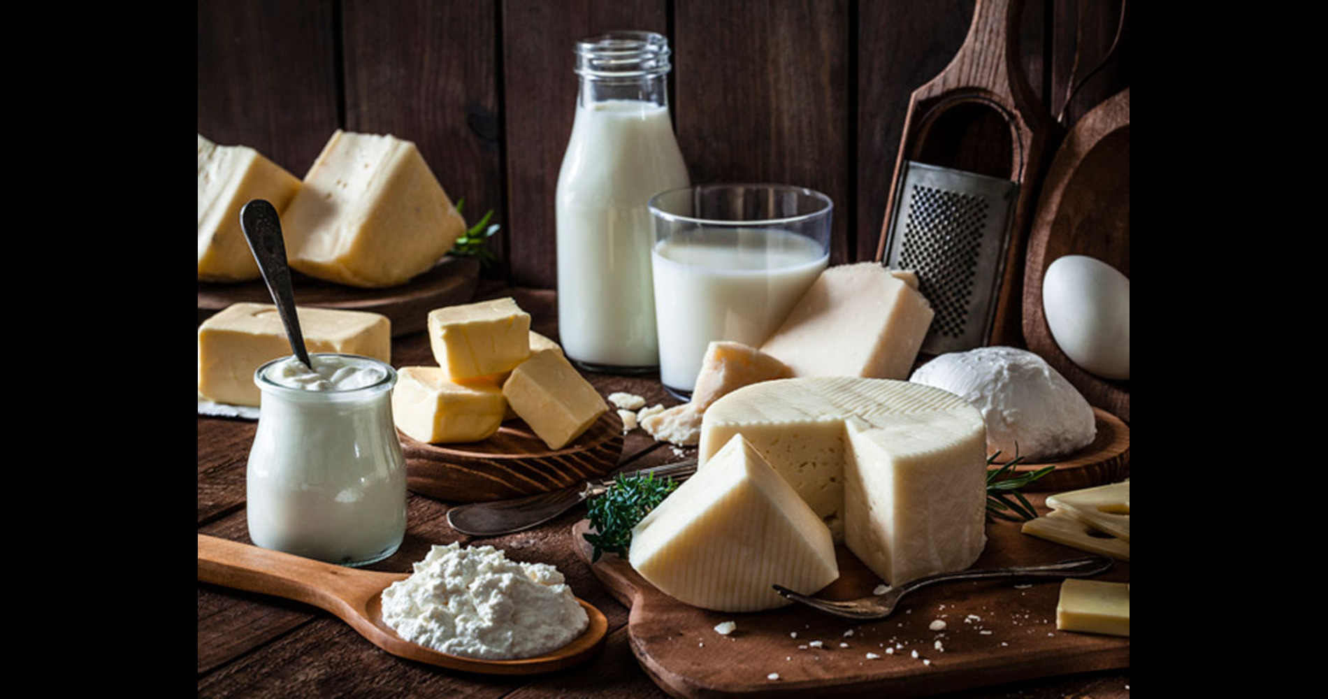 قسم الالبان والجبن 