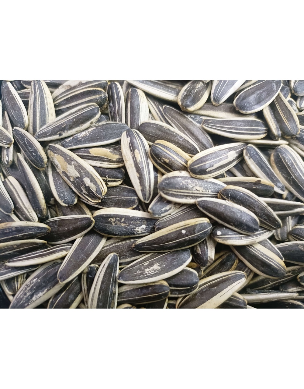 1705256585temp6744970898063613184